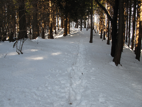 20180209hike (212)